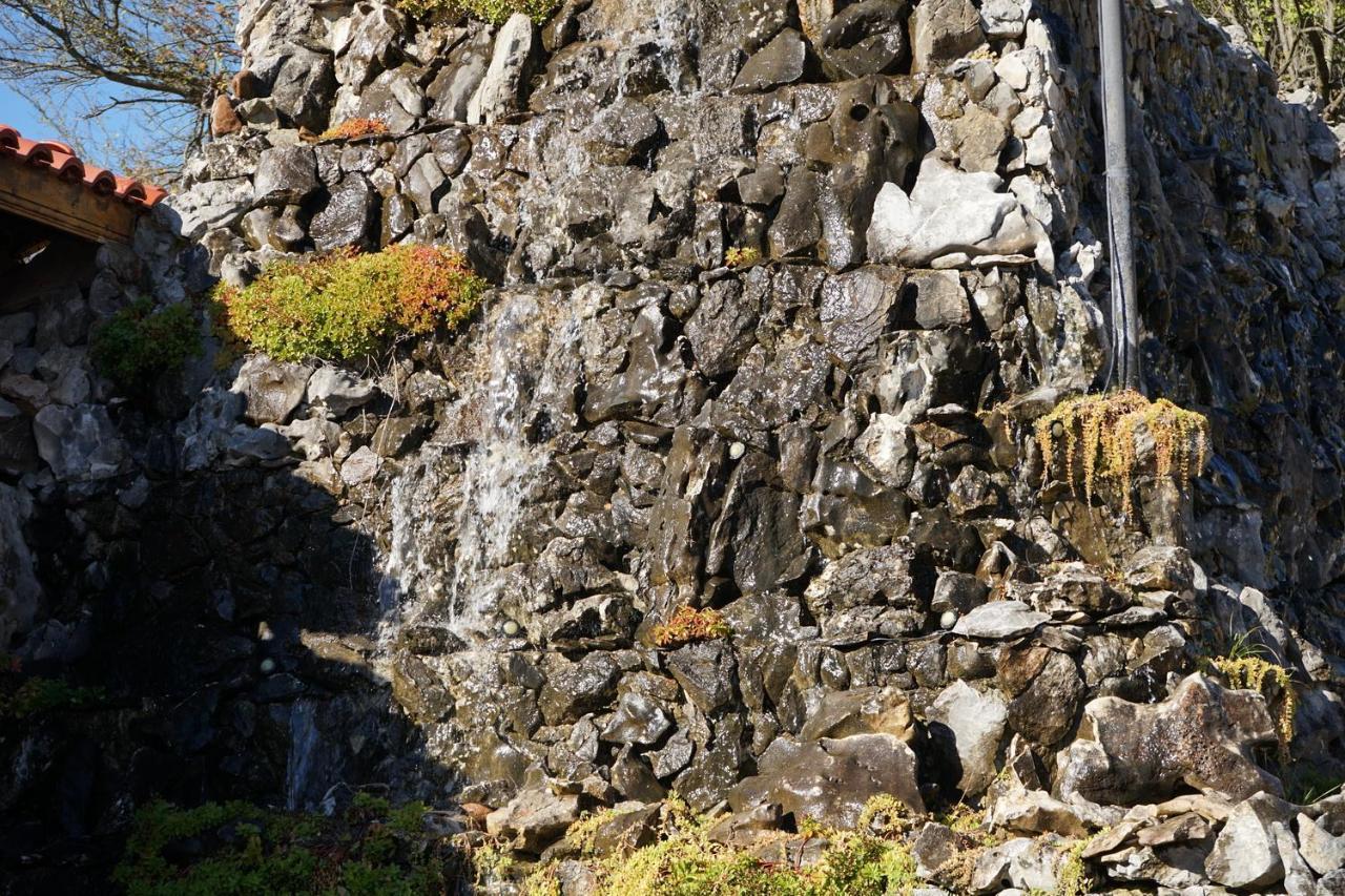 Complex Praveshki Hanove Pravets Exteriör bild